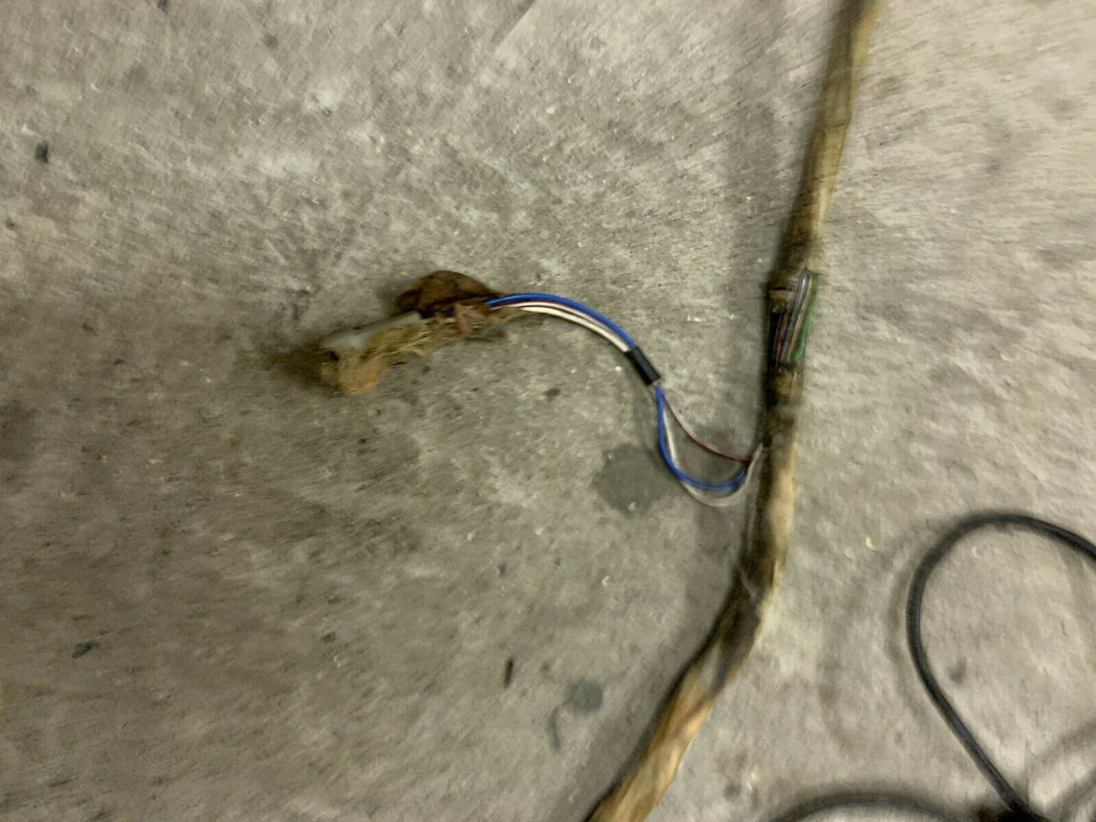 Porsche 924S/944 Rear Section Wiring Loom, Complete, Uncut - Image 3